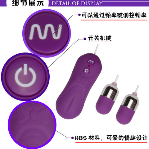 ABS Vibrating Egg Rechargeable Egg Vibration Wireless Vibration Egg